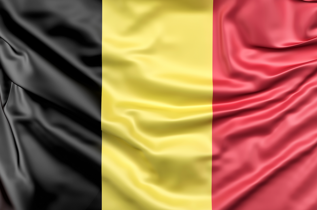 AnceFlex® : l’innovation belge au service des sportifs
