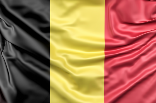 AnceFlex® : l’innovation belge au service des sportifs